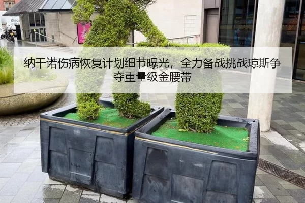 na-gan-nuo-shang-bing-hui-fu-ji-hua-xi-jie-bao-guang-quan-li-bei-zhan-tiao-zhan-qiong-si-zheng-duo-zhong-liang-ji-jin-2-326.jpg