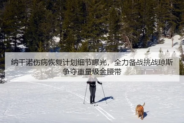 纳干诺伤病恢复计划细节曝光，全力备战挑战琼斯争夺重量级金腰带